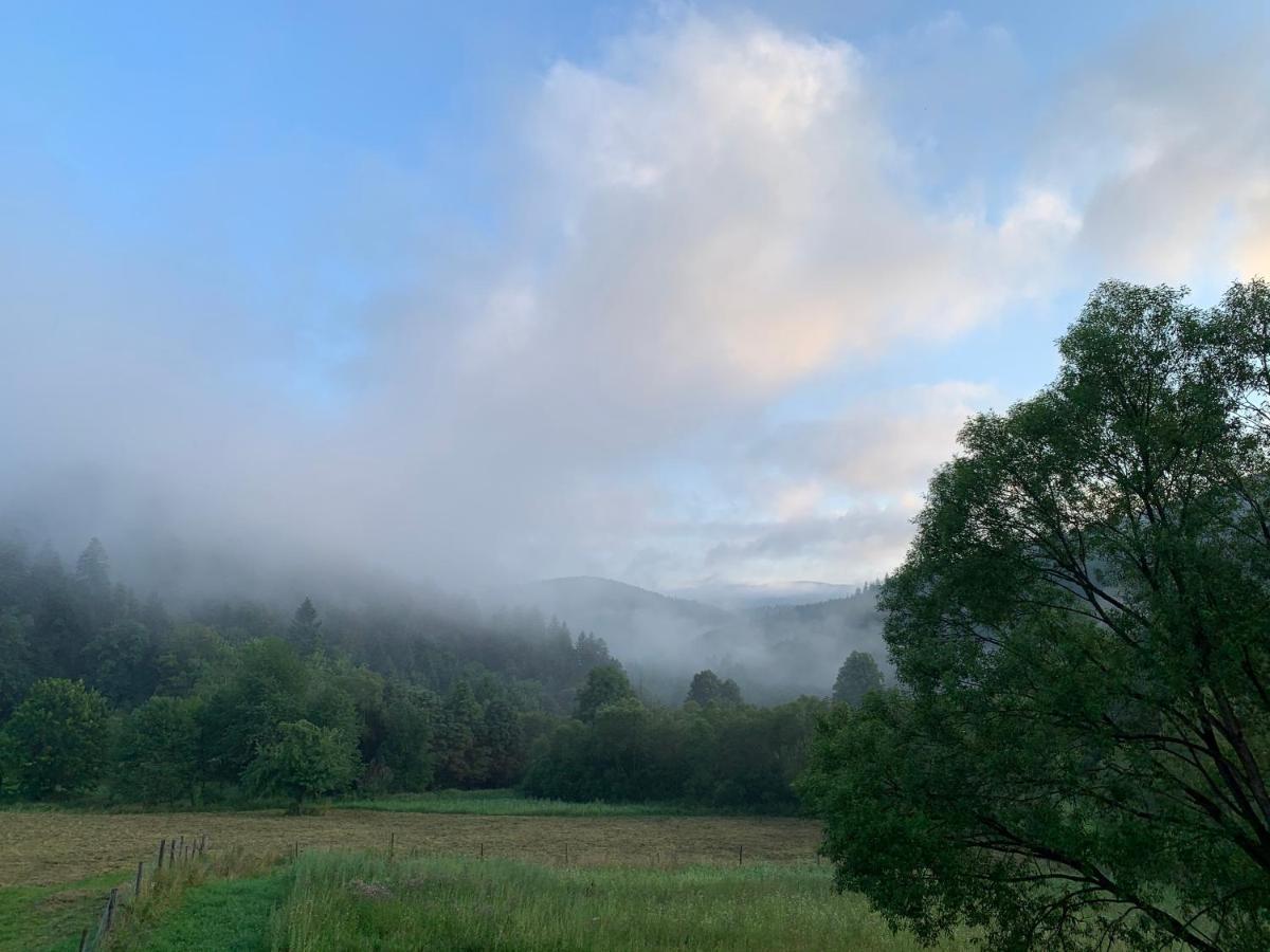 Tylko Tu Bieszczady, Balia, Sauna Baligród Buitenkant foto