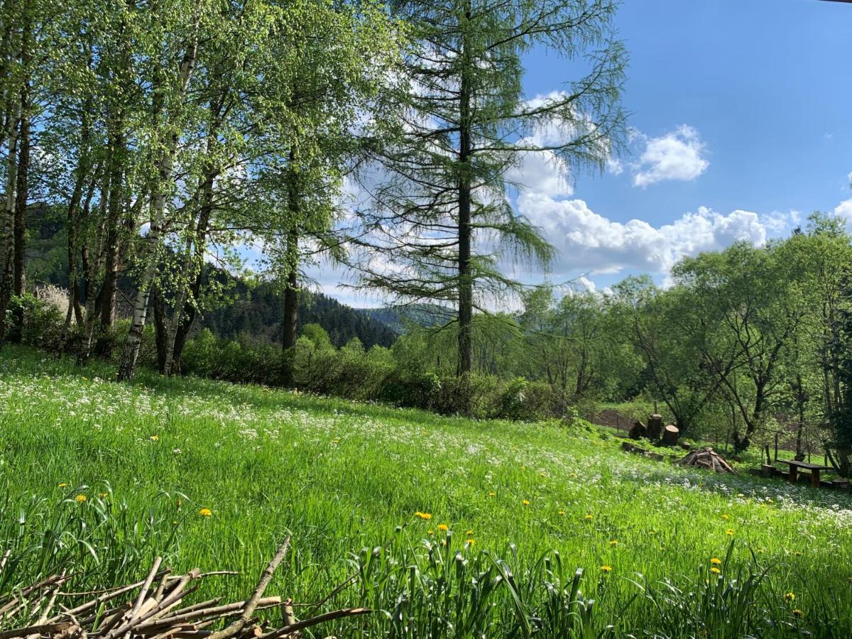 Tylko Tu Bieszczady, Balia, Sauna Baligród Buitenkant foto