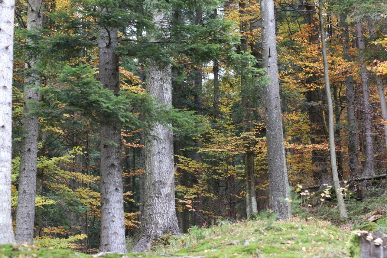 Tylko Tu Bieszczady, Balia, Sauna Baligród Buitenkant foto