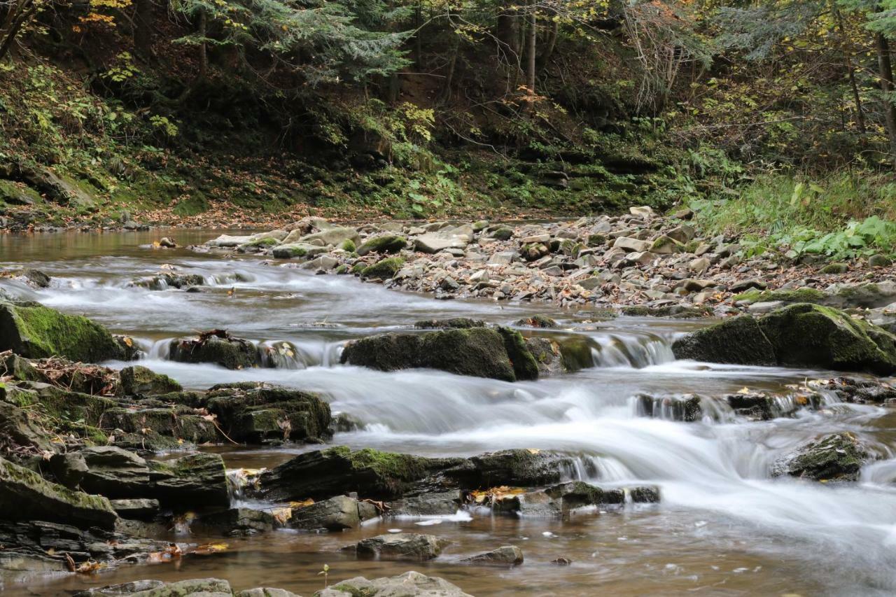 Tylko Tu Bieszczady, Balia, Sauna Baligród Buitenkant foto